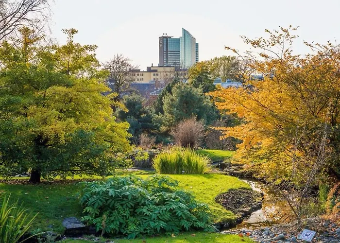 The Nest - Feels Like - Quiet And Bright Oslo