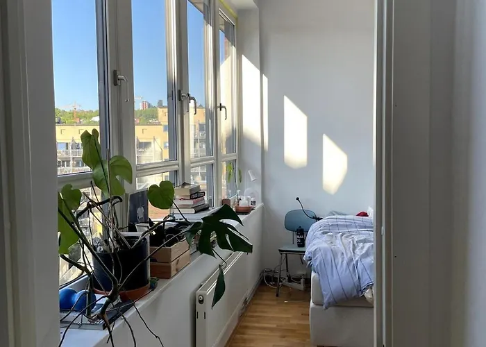 The Nest - Feels Like - Quiet And Bright Oslo